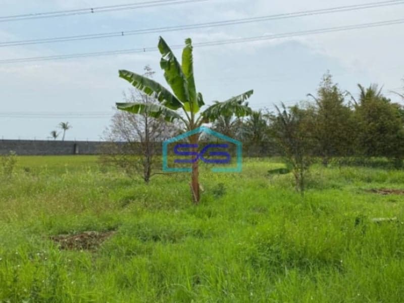 Dijual Gudang Luas Tanah 22000m2 Lokasi Strategis di Majalaya Bandung