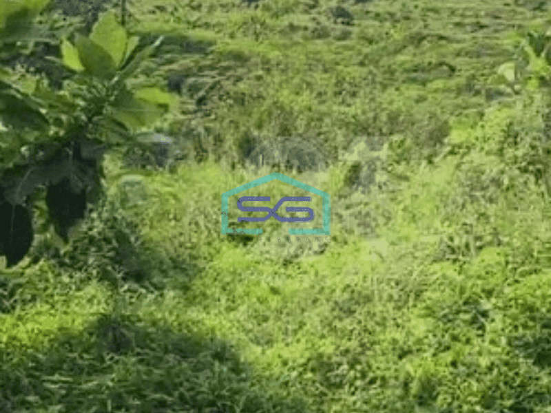 Dijual Tanah Lokasi di Halambang Sentul Bogor Luas 100Ha