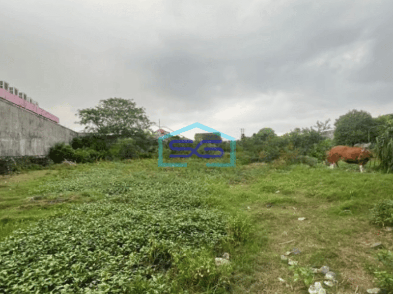 Disewakan Tanah 50 Are Denpasar Selatan Cocok gudang Dan Perumahan Mewah