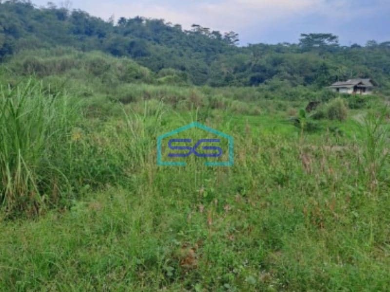 Dijual Tanah Di Rumpin Bogor Luas Tanah 200000m2