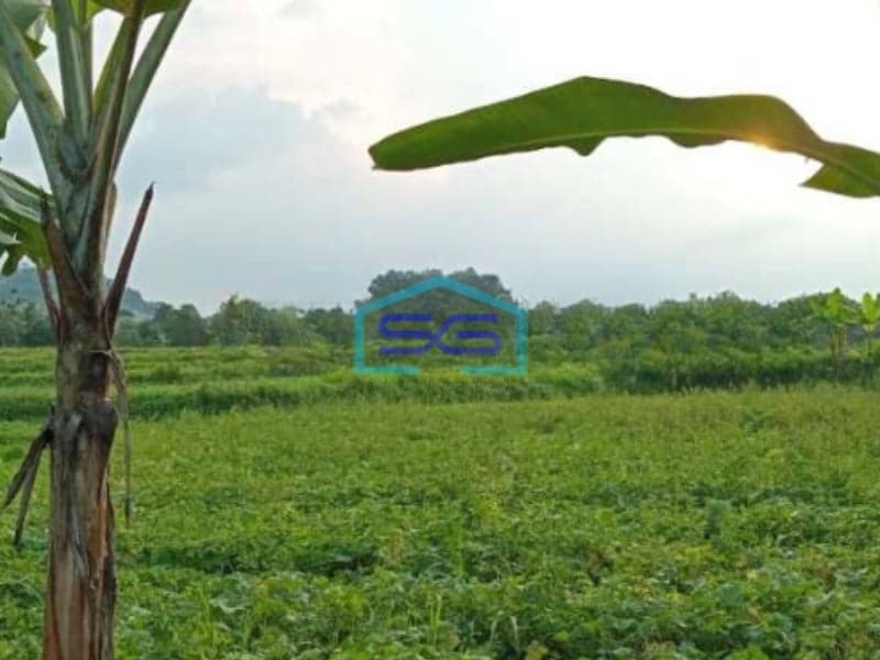 Dijual Tanah di Jalan Raya Dago Parung Panjang Bogor LT 50000m2