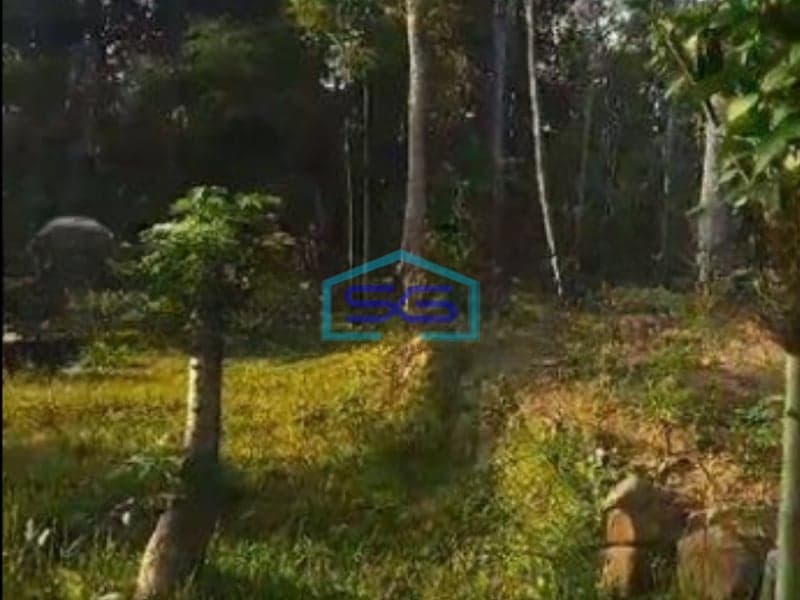 Dijual Tanah Siap Pakai Akses Kontainer Di Kaligentong Boyolali LT 20000m2