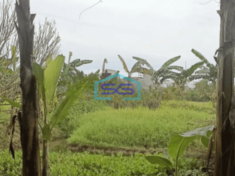 Dijual Tanah Datar bisa bangun Pabrik atau Gudang Luas Tanah 5800 m di Narogong