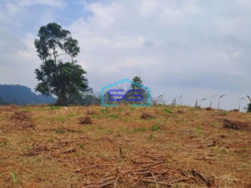 Dijual Tanah Di Sentul Citeureup Bogor Luas Tanah 105 Hektar