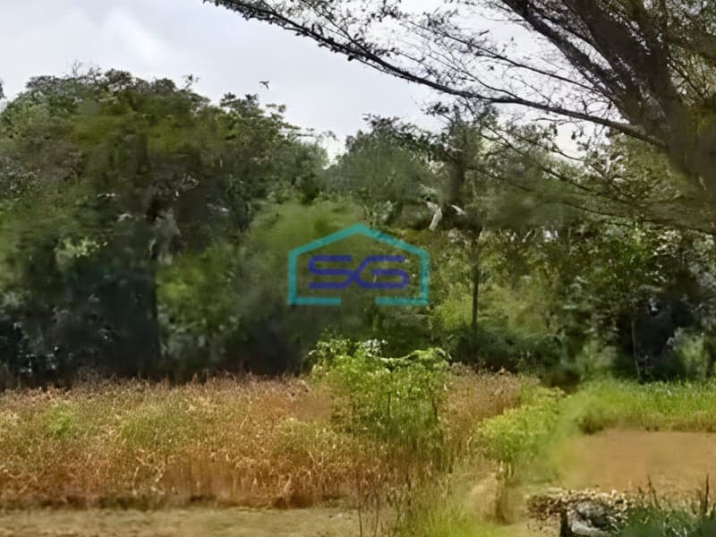 Dijual Tanah Strategis Industri Lokasi Mojosongo Boyolali Jawa Tengah Luas 50535m2