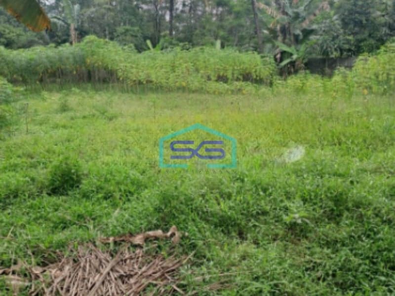 Dijual Tanah Di Cipinang Rumpin Bogor Jawa Barat Luas 15000m2