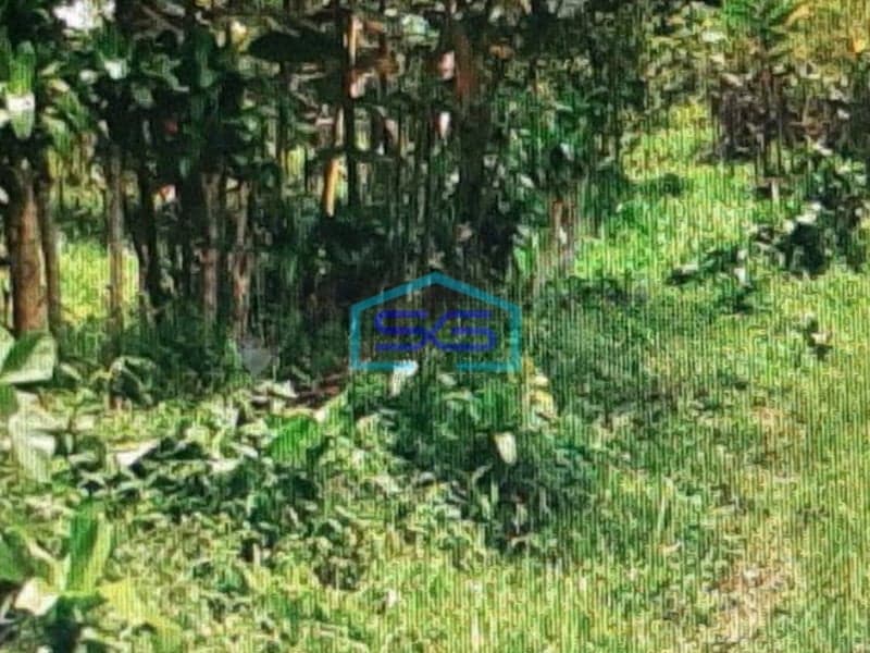 Dijual Tanah Di Tamansari Bogor LT 3735m2