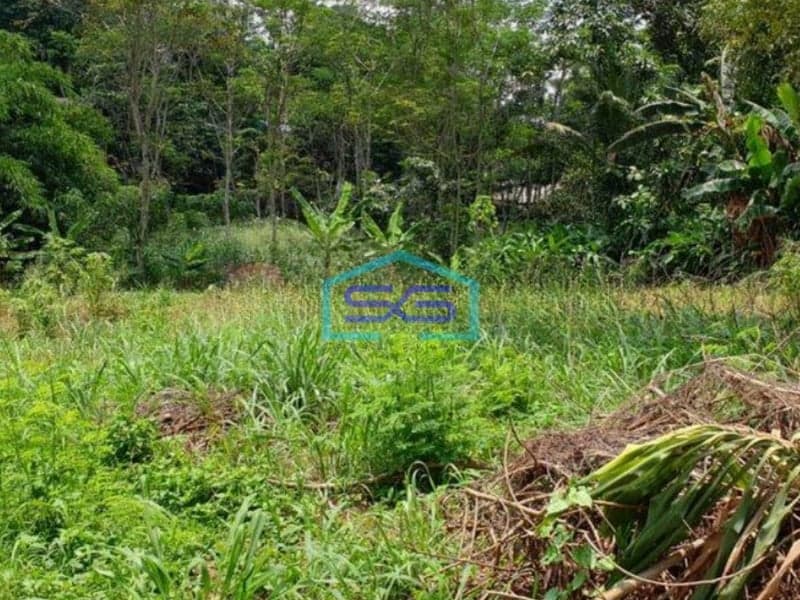 Dijual Tanah Luas 7000m2 di Cidokom Gunung Sindur Bogor