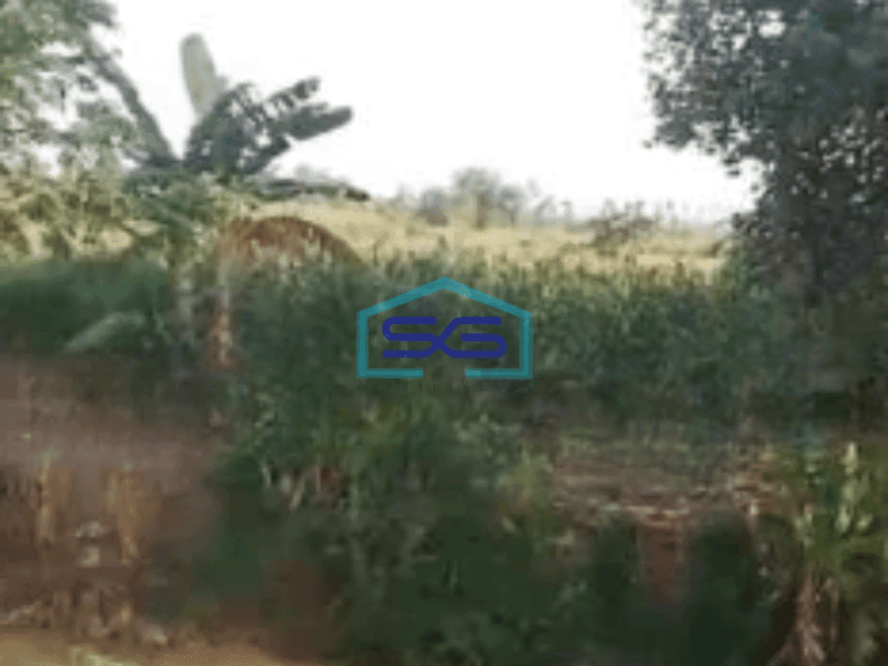 Dijual Tanah Lahan Strategis Zona Industri Lokasi Semarang Luas 24460m2