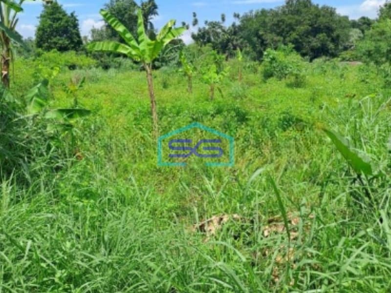 Dijual Tanah Lokasi di Sentul Alternatif Bogor Luas Tanah 15000m2