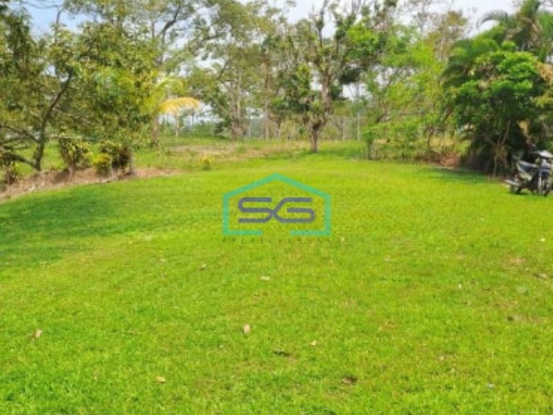 Dijual Tanah Lokasi di Padeglang Banten Luas Tanah 700000m2