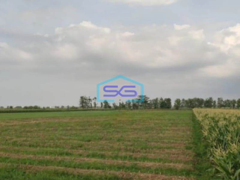 Dijual Tanah Lokasi Strategis SHM Luas 16500m² di Ciledug Cirebon