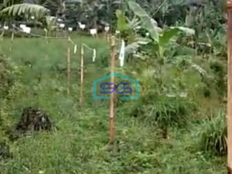 Dijual Tanah Desa Jogjogan Cidahu Kab Bogor Luas Tanah 47000m2