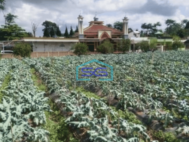 Dijual Tanah Di Lembang dekat The Lodge Dan Fairy Garden Maribaya Luas Tanah 8750 m²