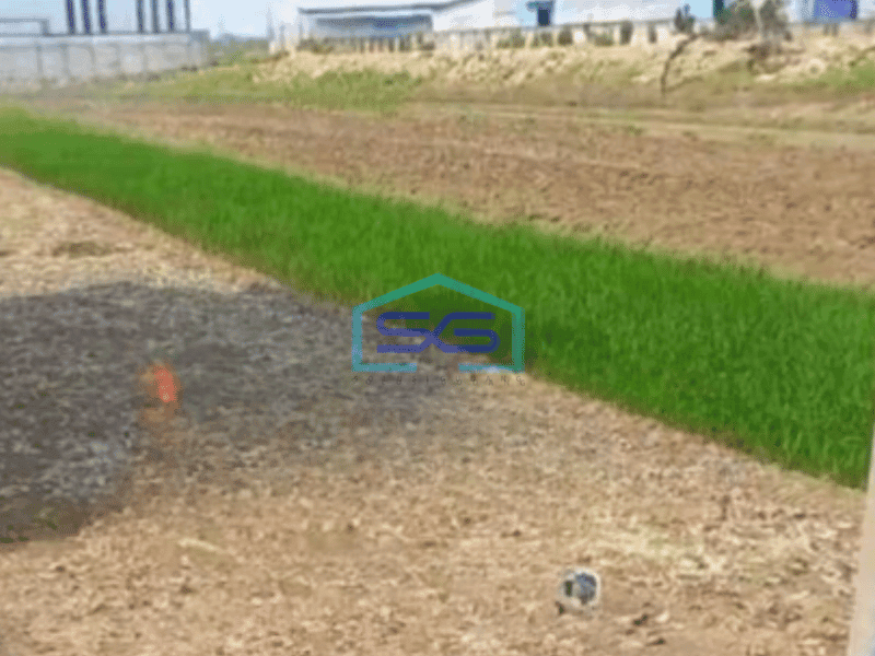 Dijual Tanah Industri Strategis Lokasi Mranggen Demak Luas 4638m2