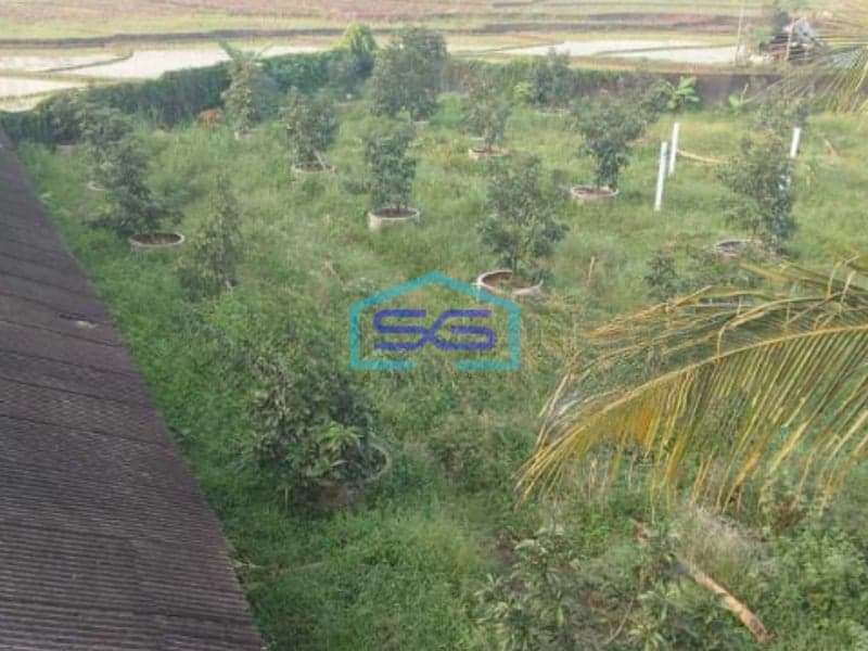 Dijual Tanah Perkebunan Dan Villa Di Bogor