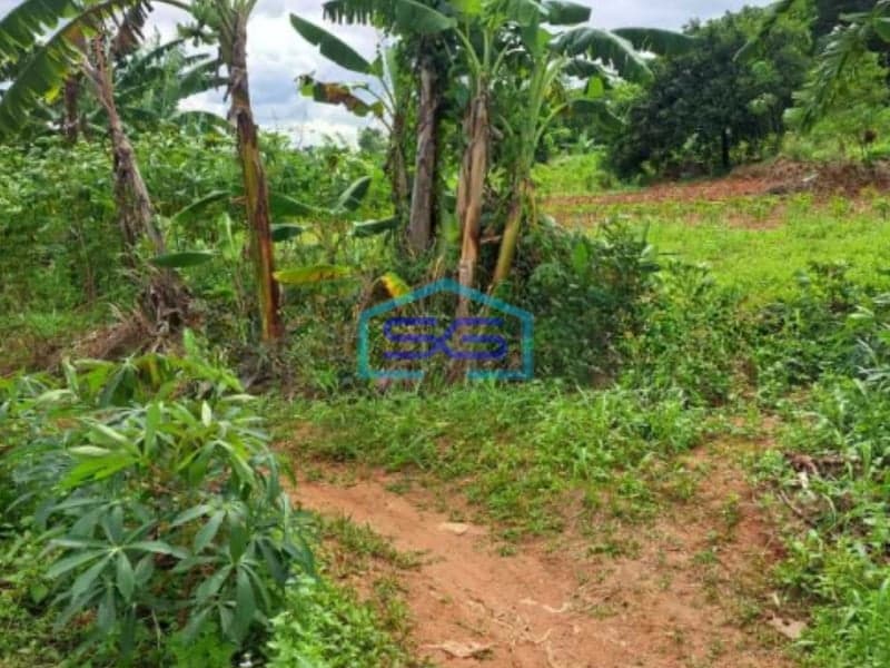 Dijual Tanah Di Kawasan Industri Citeureup Bogor Jawa Barat LT 86000m2