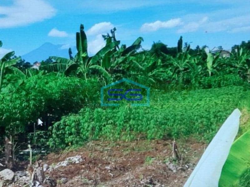 Dijual Tanah di Bogor Sangat Strategis Dipinggir Jalan LT 18872m2