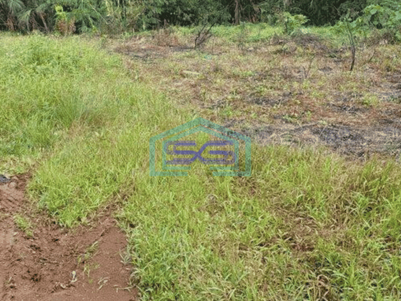 Dijual Tanah Cocok Untuk Gudang di Cikupa Tangerang