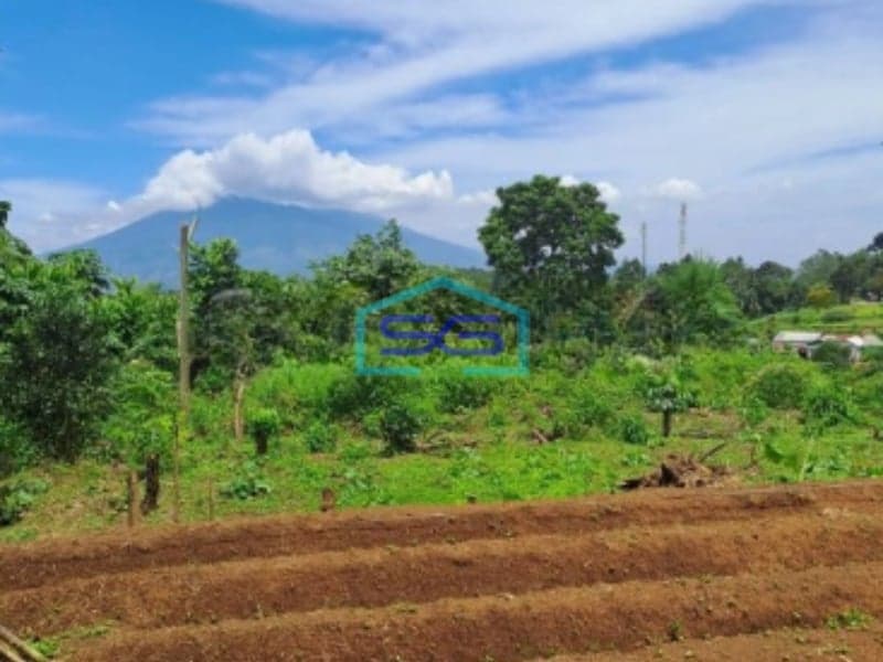 Dijual Tanah di Desa Pasir Angin Megamendung Bogor Luas Tanah 9000m2