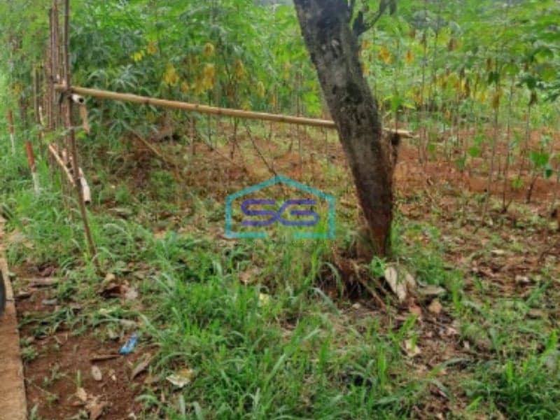 Dijual Tanah di Ciseeng Bogor Jawa Barat Lokasi Bebas Banjir