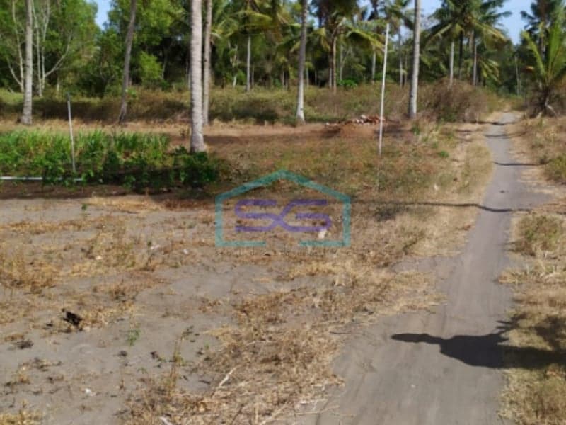 Land for Sale in Pleret Panjatan, Kulon Progo 2,696 m²