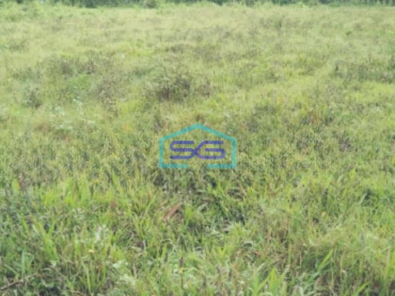 Dijual Tanah Murah Luas 4500 m² Lokasi di Tangerang