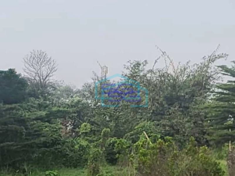 Dijual Tanah Lokasi Strategis Luas 8400 m² di Bogor