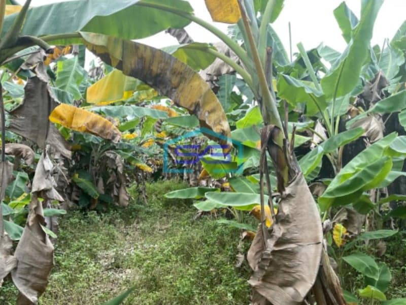 Dijual Tanah Siap Bangun di Jalan Naskah Km 7 Palembang