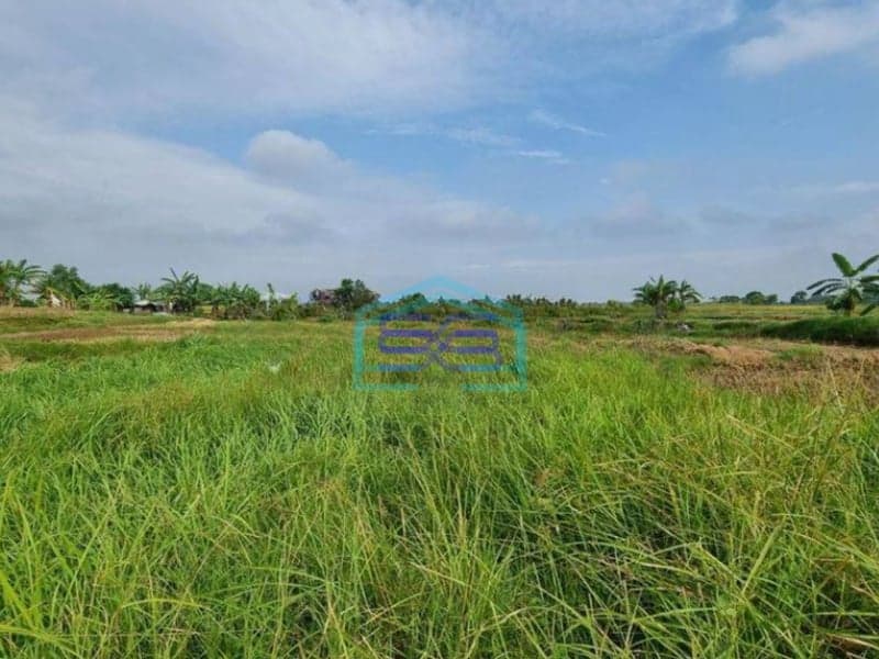 Dijual Tanah 140 Hektar di Pinggir Jalan Raya Utama Cikande Serang Dalam Kawasan Industri