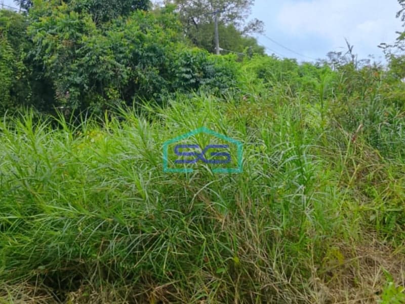 Dijual Tanah Di Talang Keramat Banyuasin Sumatera Selatan LT 22000m2