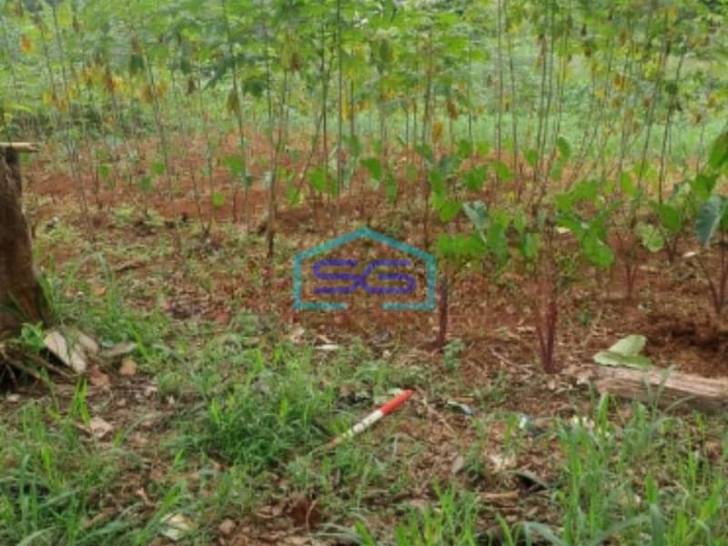 Dijual Tanah di Ciseeng Bogor Jawa Barat Lokasi Bebas Banjir