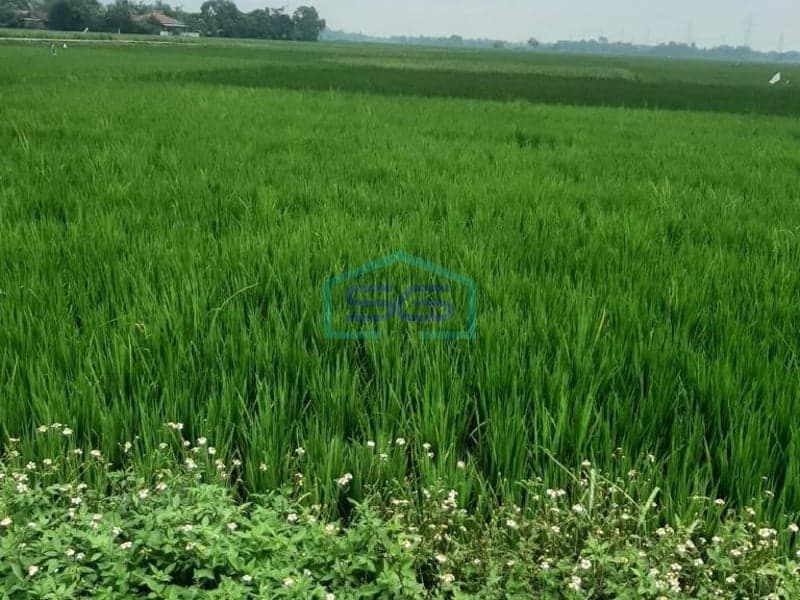 KAVLING DIJUAL DAERAH CIKANDE