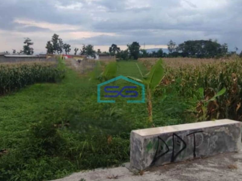 Dijual Tanah Sawah Di Mlese, Ceper, Klaten, Jawa Tengah Luas Tanah 1950 m²