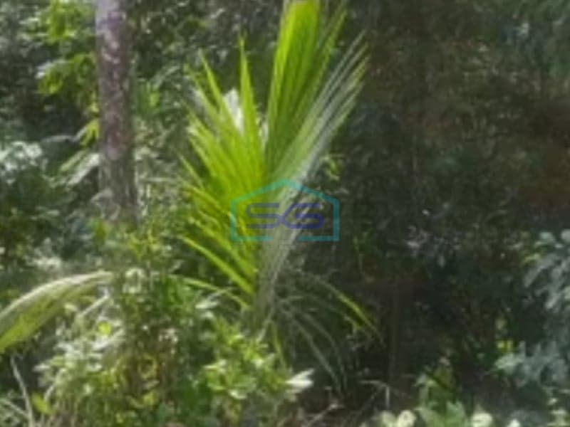 Dijual Tanah Super Paling Murah di Lumbung Tabanan Bali LT 4000m2