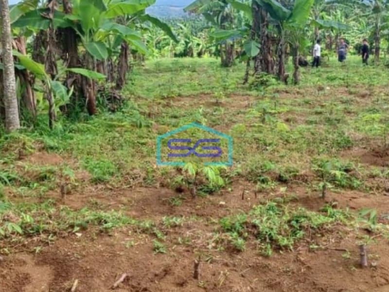 Dijual Tanah Parakan Salak Sukabumi Luas Tanah 4750m2