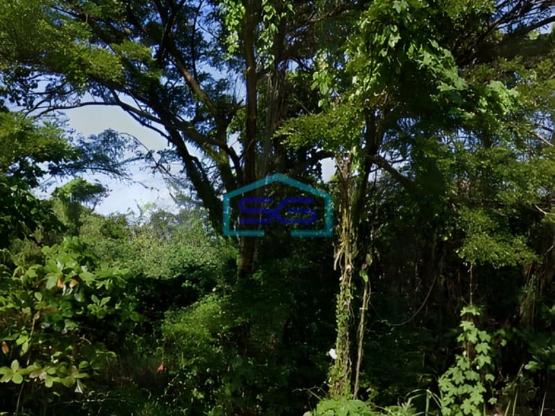 Dijual Tanah Lokasi Gayamsari Semarang Jawa Tengah Luas  68882 m²