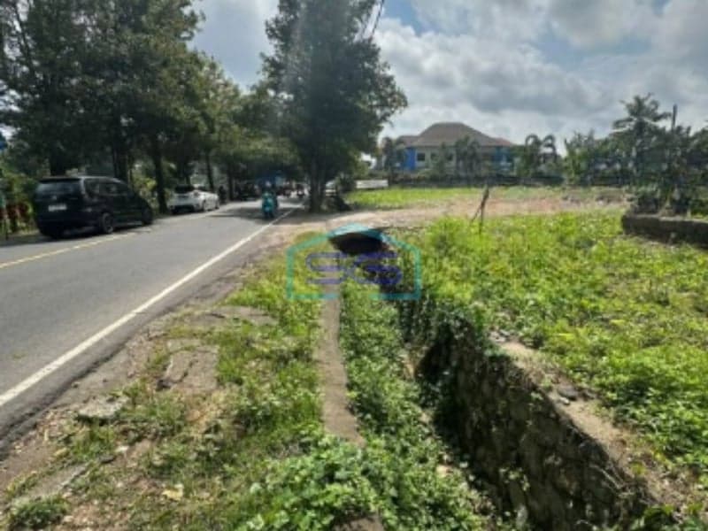 Disewakan Tanah Pinggir Jalan Raya Super Ramai Cocok Bisnis di Ubud Gianyar Bali Luas Tanah 3100m2