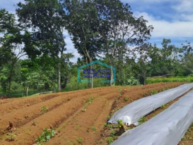 Dijual Tanah Bagus di Kawasan Sumarecon Bogor Luas Tanah 9000m2