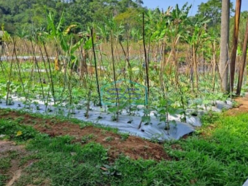 Dijual Tanah di Cipayung Puncak Bogor Jalan Terobosan LT 2000m2