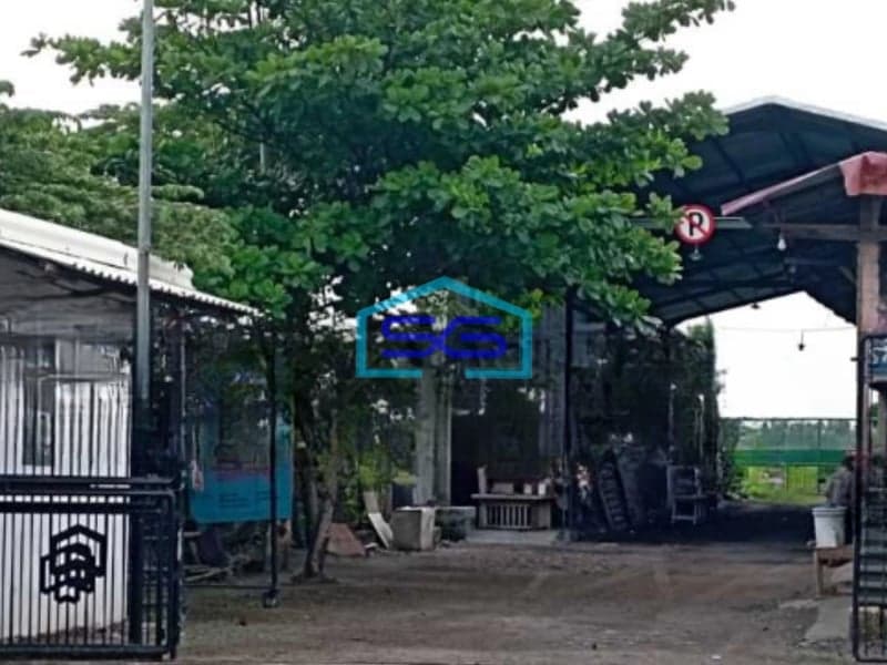 Disewakan Tanah di Kedamean Gresik Jawa Timur Luas 3600 m²