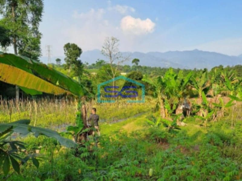 Dijual Tanah Garpan Pasir Angin Cipayung Bogor Luas Tanah 7000m2