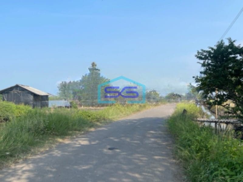 Dijual Tanah Tambak Di Desa Sungai Buntu Karawang Luas Tanah 20082m2