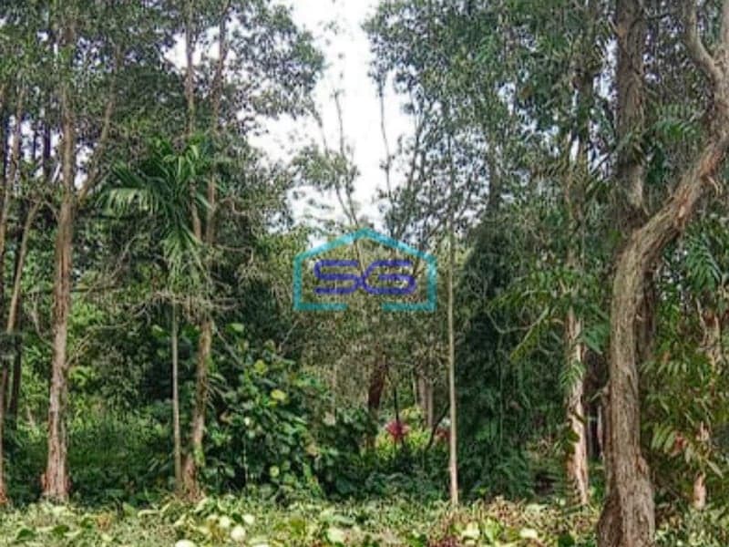 Dijual Tanah Murah di Jalan Pesona Sematang Borang Palembang LT 1100m2