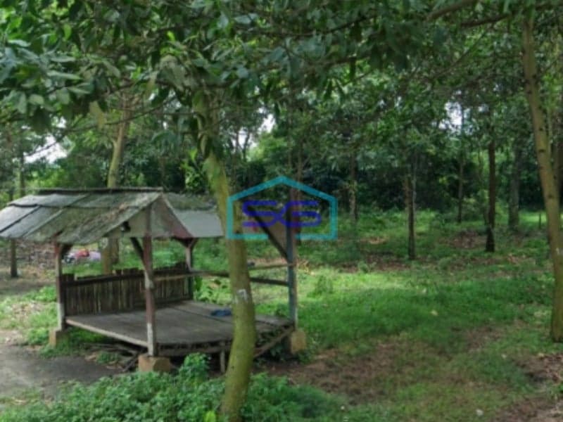 Dijual Tanah Strategis Untuk Industri Luas 12 Hektar Di Rangkasbitung Lebak Banten