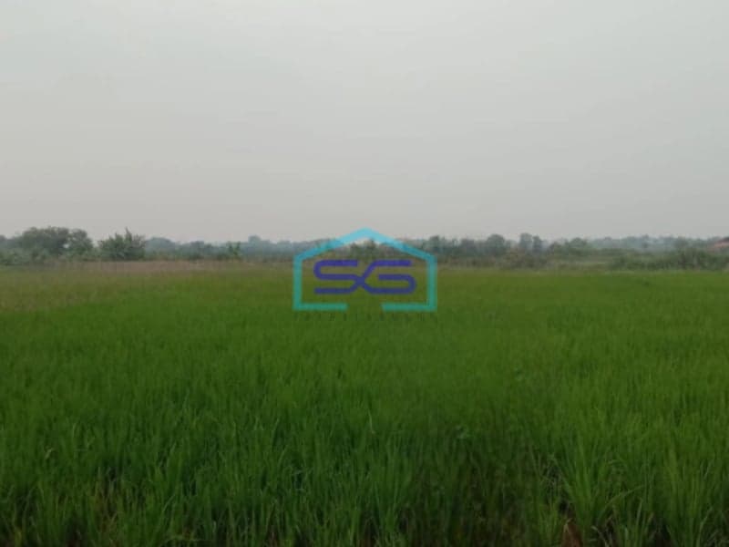 Dijual Cepat Tanah Di Cibarusah Jaya Cikarang jawa Barat Luas Tanah  3918 m²