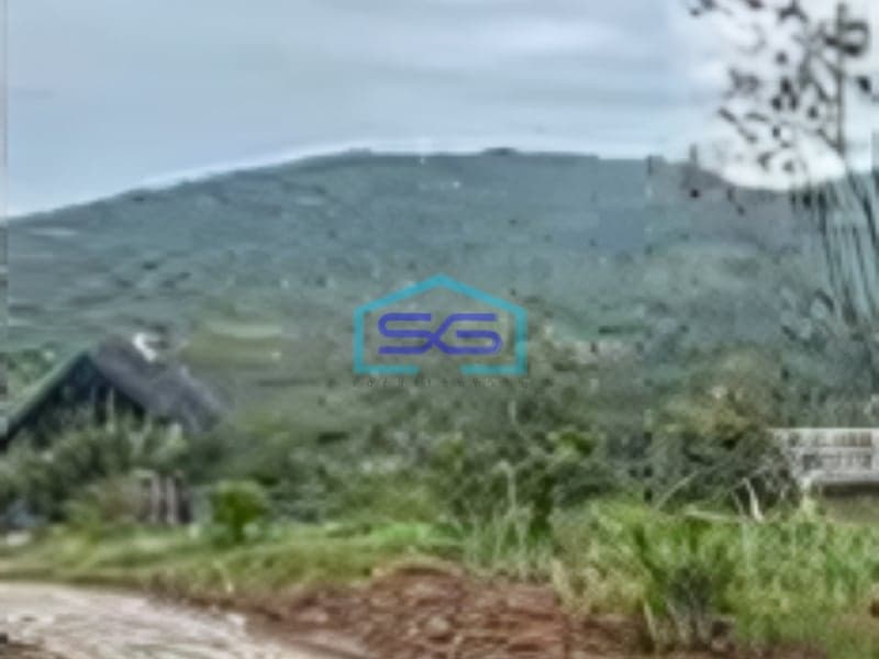 Dijual Tanah Luas + Kebun Duren Di Cijambe Kota Subang LT 90 Ha