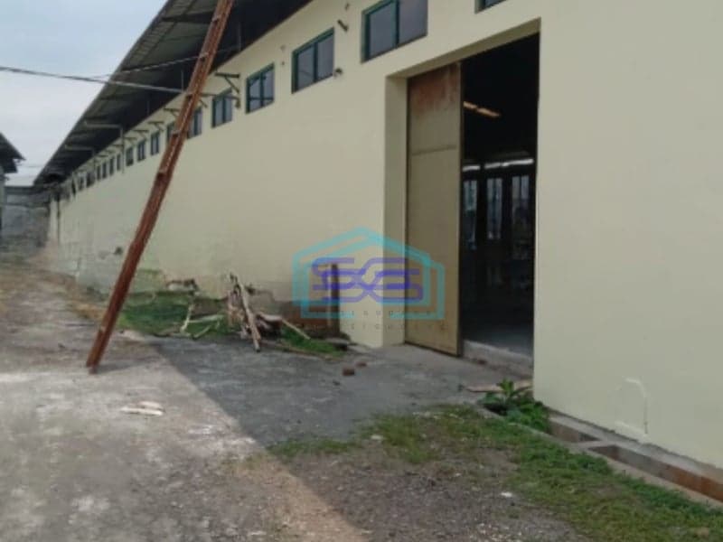 Disewakan Gudang Lokasi Bebas Banjir luas Banguann 7291 m² di Buaran Pekalongan