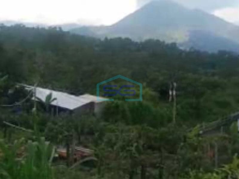 Dijual Tanah Luas Area Kintamani Bangli Bali Jalan Mobil Luas Tanah 40000m2