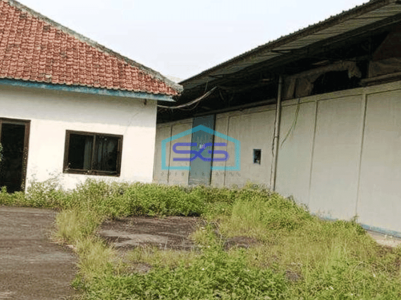 Dijual gudang luas bagus di Jl Raya Curug Tangerang